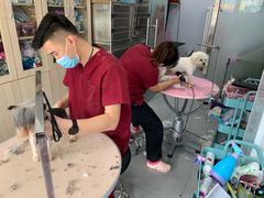 -宠颐生中康贝怡动物医院