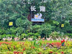 -广州长隆飞鸟乐园