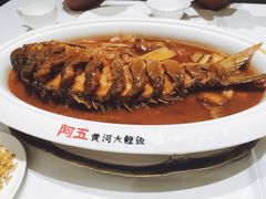 红烧黄河大鲤鱼-阿五黄河大鲤鱼(海尚店)