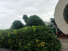 -南宁市越秀路小学