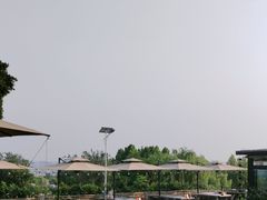 -蘇河湾·新鲁菜·泰山宴(泰山店)