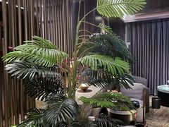 -索拉古贝(义乌北苑店)