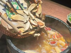 -蘑界·野生菌火锅(深业上城店)