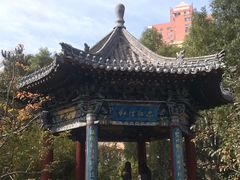 -迎泽公园