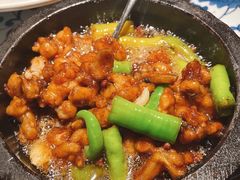 石锅杭椒牛蛙-桂满陇天书(南京德基旗舰店)