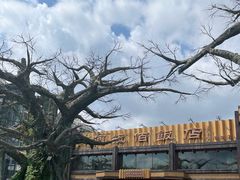 -阿拉佰饭店(西关店)