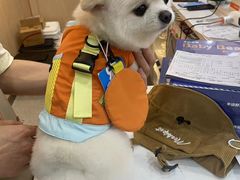 -BABIT巴比特宠物(MOMOPARK店)