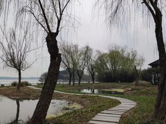 -渤公岛生态公园