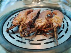 -青蓬蒸汽海鲜·深圳老字号·团建聚会(壹方城店)
