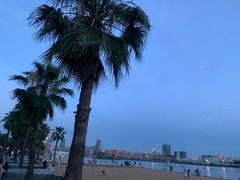 -金沙湖公园