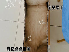 -袖虎·猫馆(体育西路店)
