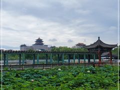 -莲花池公园