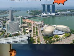 -新加坡瑞士史丹福酒店