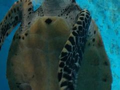 -苏州海洋馆