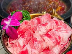 -蜀大侠火锅(总府路店)