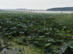 -丁香湖公园