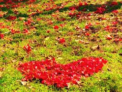 -华南师范大学(广州大学城校区)