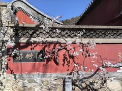 -潭柘寺景区