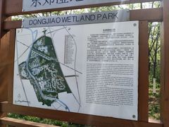 -东郊湿地公园