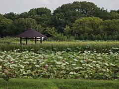 -嘉北郊野公园