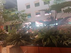 -0048鲜活香辣虾·火锅(铜陵路店)