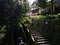 -龙井村
