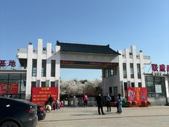 -天王浮山樱花园