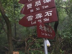 -九龙潭景区