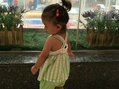 -南宫温泉水世界