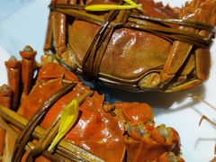 -七星龙虾城·海鲜·大闸蟹(吴江店)