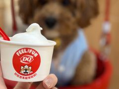-DQ·蛋糕·冰淇淋(手工定制蛋糕SM广场店)