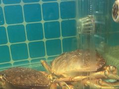 -小二郎私房菜(鼓浪屿店)