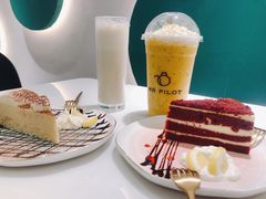 -飞行喵MR PILOT|猫舍·猫咖(静安大融城店)