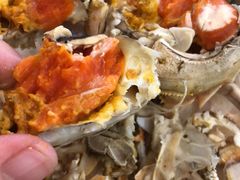 -王宝和酒家(黄浦店)