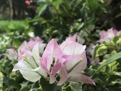-上海虹桥迎宾馆