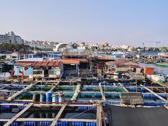 -蓝湾碧波·老字号·疍家非遗海上餐厅