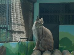 -昆明动物园