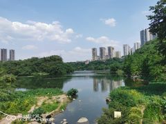 -重庆彩云湖湿地公园