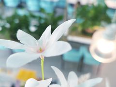 -拾挚扒房(招商花园城店)