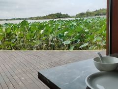 -东滩湿地公园观海楼餐厅
