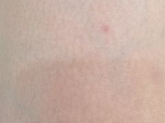 -惠州金海湾嘉华度假酒店