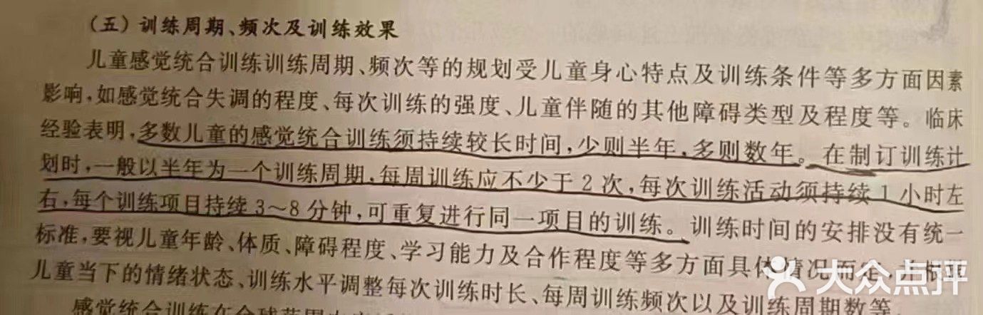 金色雨林学习力培优(专注力提升)图片