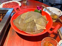 -二荆条·蜀鲜汇城市森林火锅
