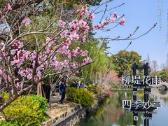 -无锡蠡湖国家湿地公园-蠡园