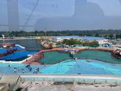 -秦皇岛乐岛海洋王国