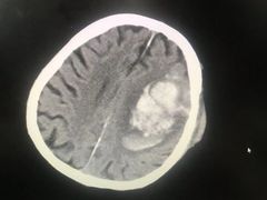 -锦欣康养上海泽顾护理院