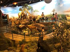 -陕西自然博物馆