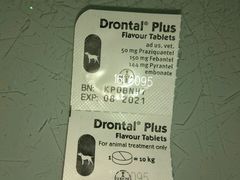 -爱侣宠医·鹦鹉专科·小型哺乳类·异宠专科(灵石路店)