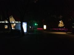 -枫花园汽车电影院(朝阳公园店)
