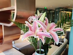 -南堂馆·新川菜(春熙路店)